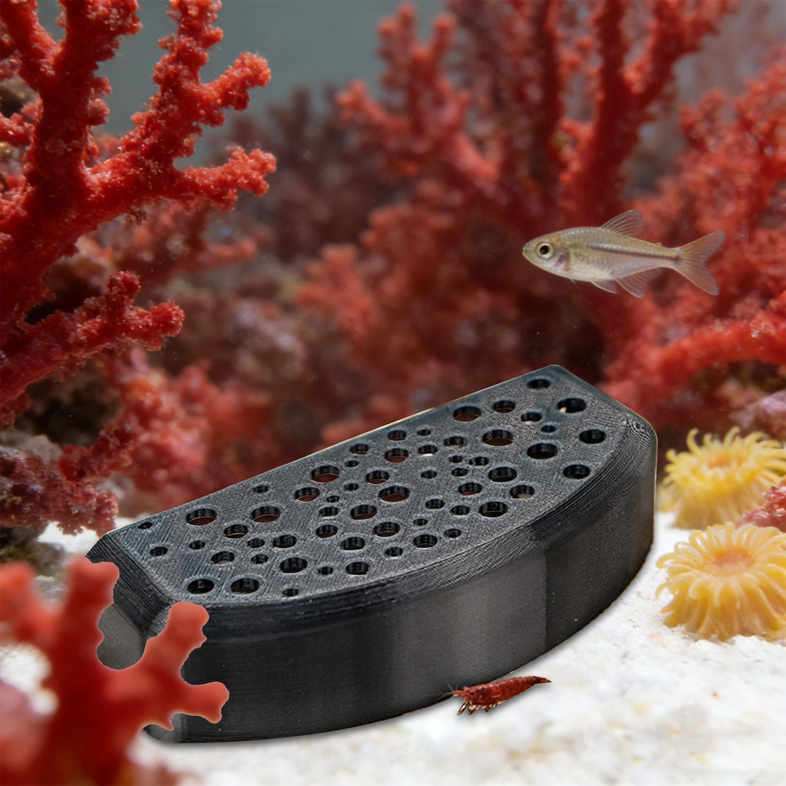 Aquatic Zone - Ornement de repos aquatique pour animaux