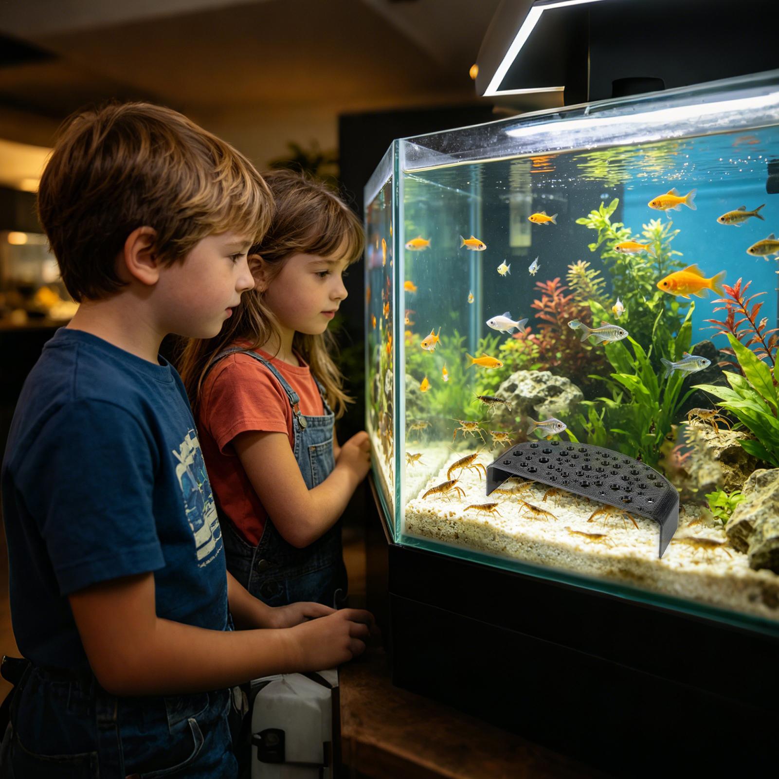 Ornement de repos aquatique po - Aquatic Zone avis et prix